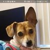 Skye