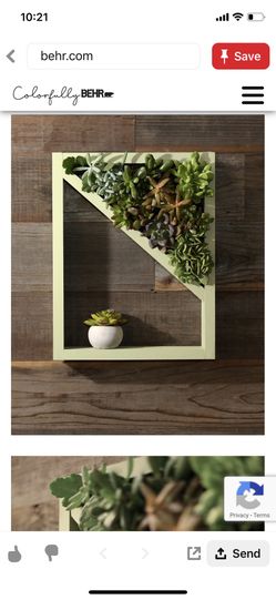 Succulent stand $45