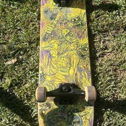 Skate Board