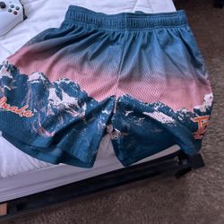 Inaka power old school mountain short