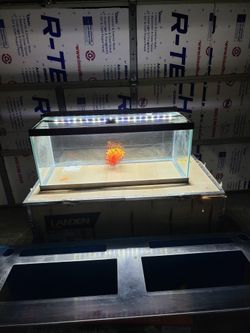 20 Gallon Long and low Glass aquarium