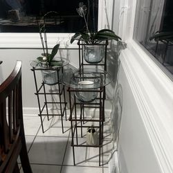 3 Glass planters With Stands 
