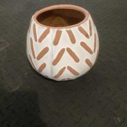 Flower Pot