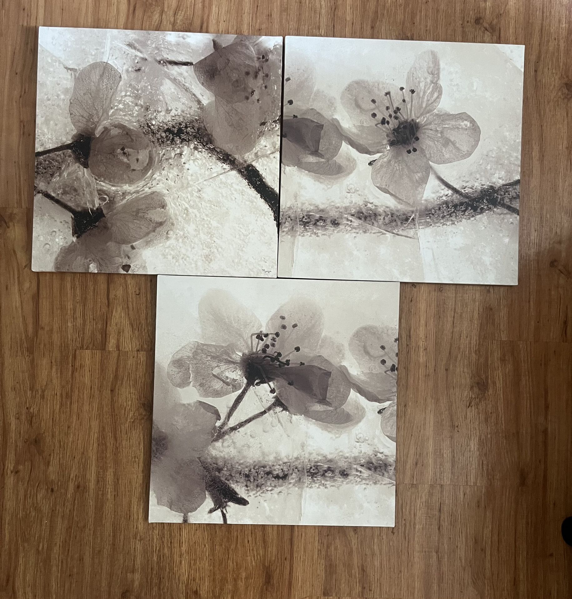 Floral Picture Set