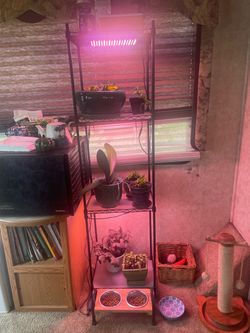 Barrina 5 Tier Plant Stand