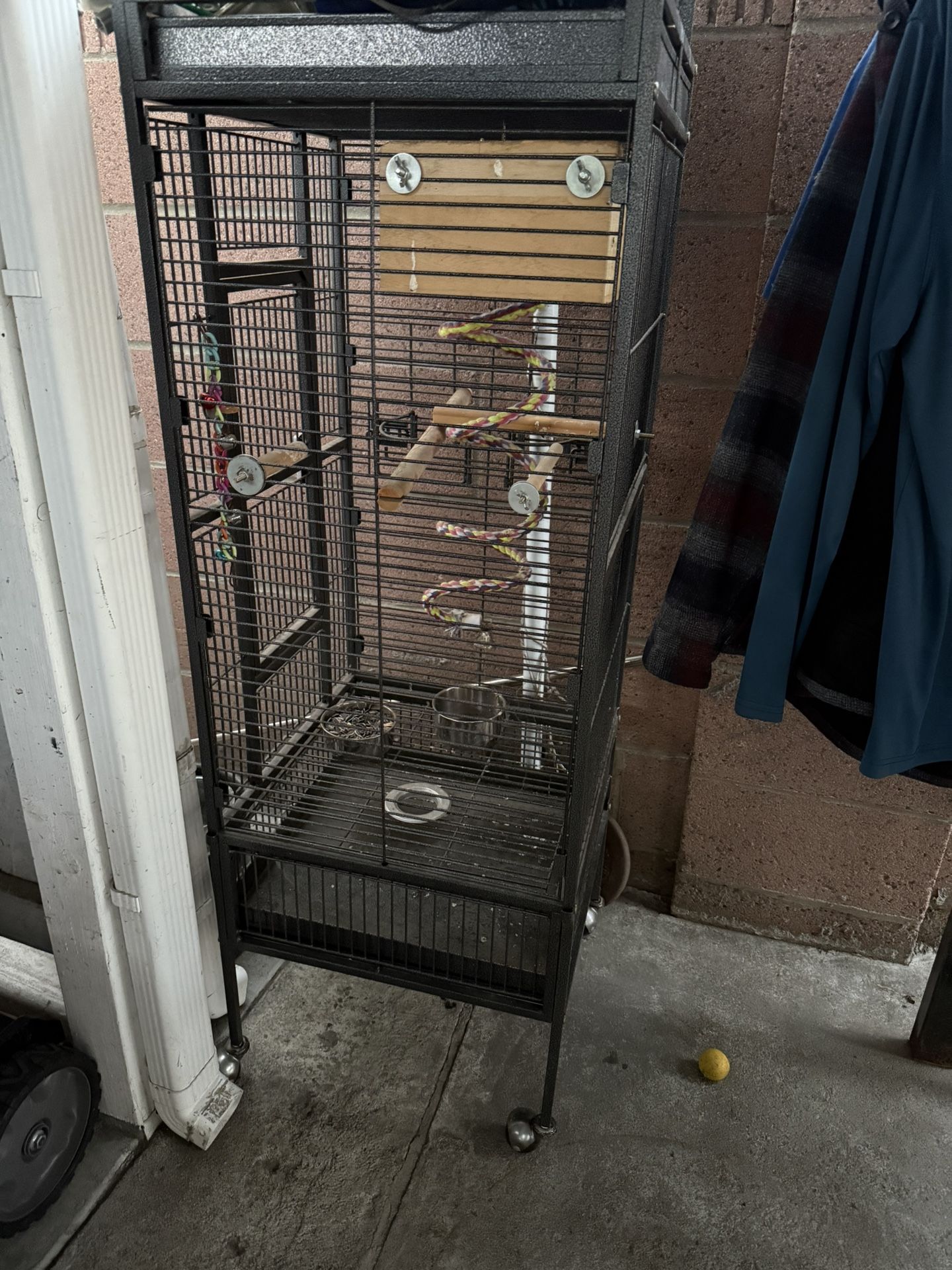 Bird Cage