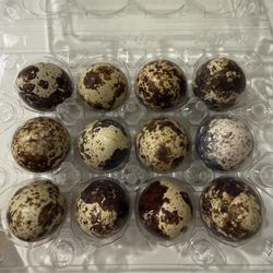 Quail EGGS