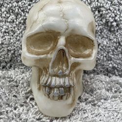 Rare Vintage Realistic Halloween Skull Head Prop Spooky Creepy Electronic