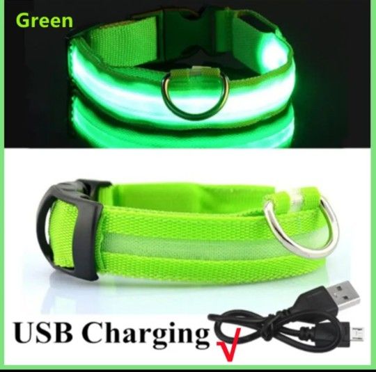 led dog collar