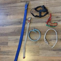 Miscellaneous Medium Dog Collars