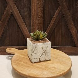 Handmade Cermanic Succulent 