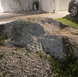 Free sand !