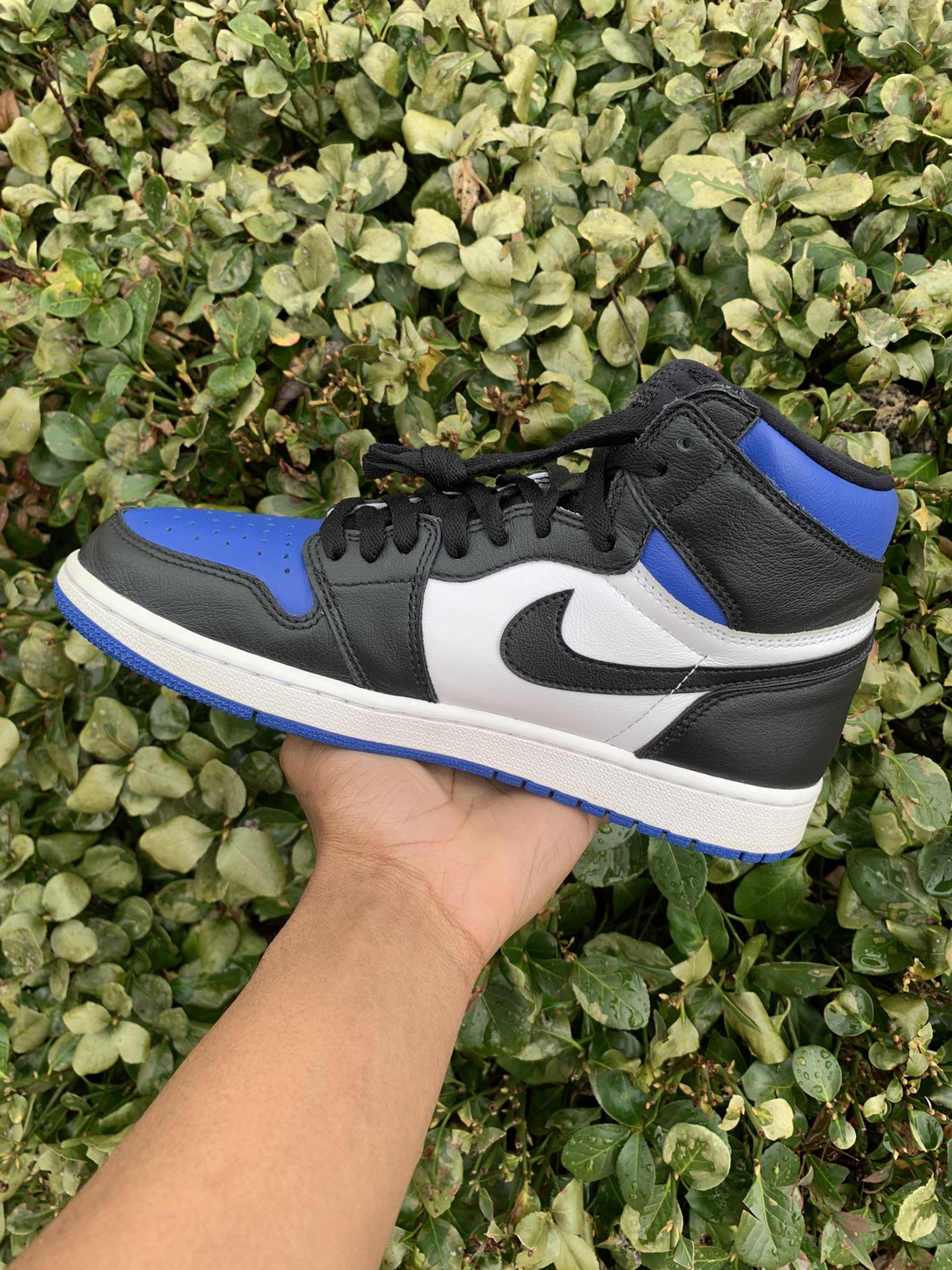 Air Jordan 1 Retro High “Royal Toe”?