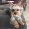Charlie 