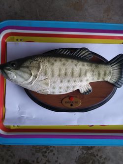 Big mouth Billy Bass