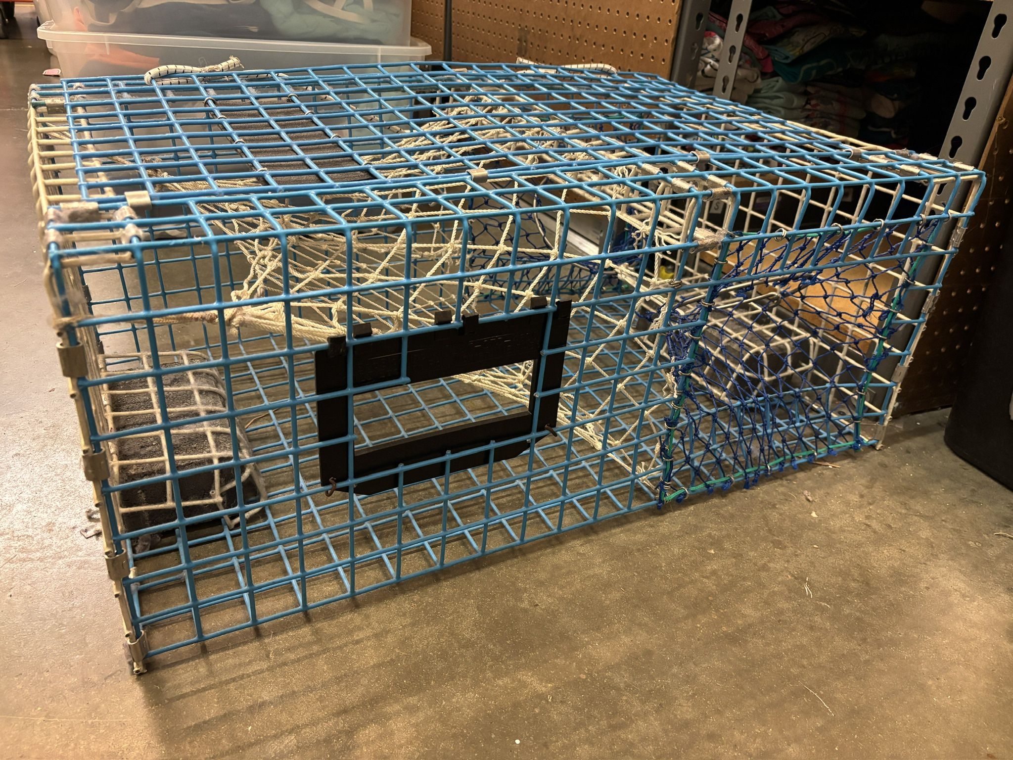 I have two crab/lobster/fish traps