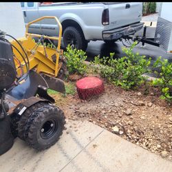 Stump Grinding 