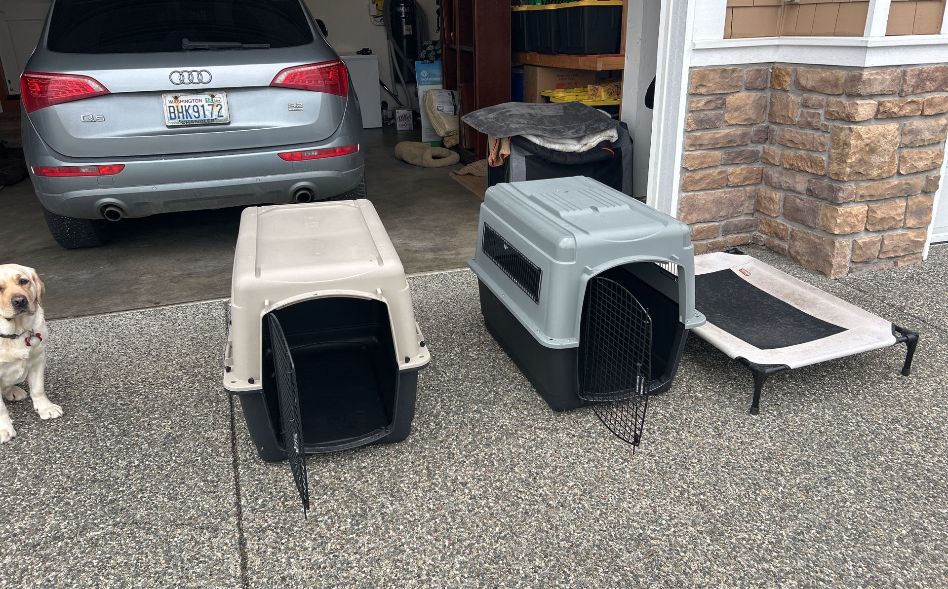 Dog Crates And Dog Hammock