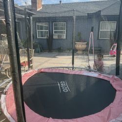 Trampoline 