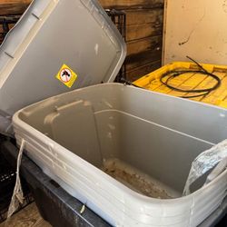 Plastic storage/moving boxes