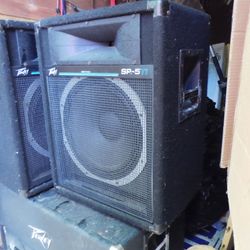 Peavey SP-5Ti Vintage Speakers