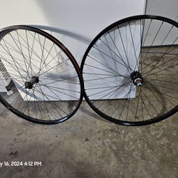 29r Rims