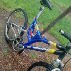 Rides Great