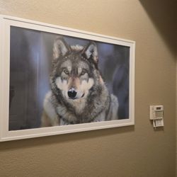 Wolf Framed Art Work