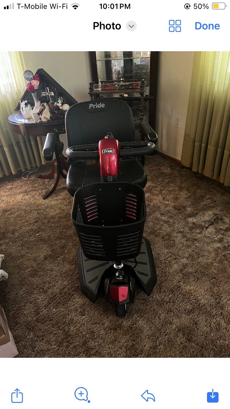 Adult Scooter