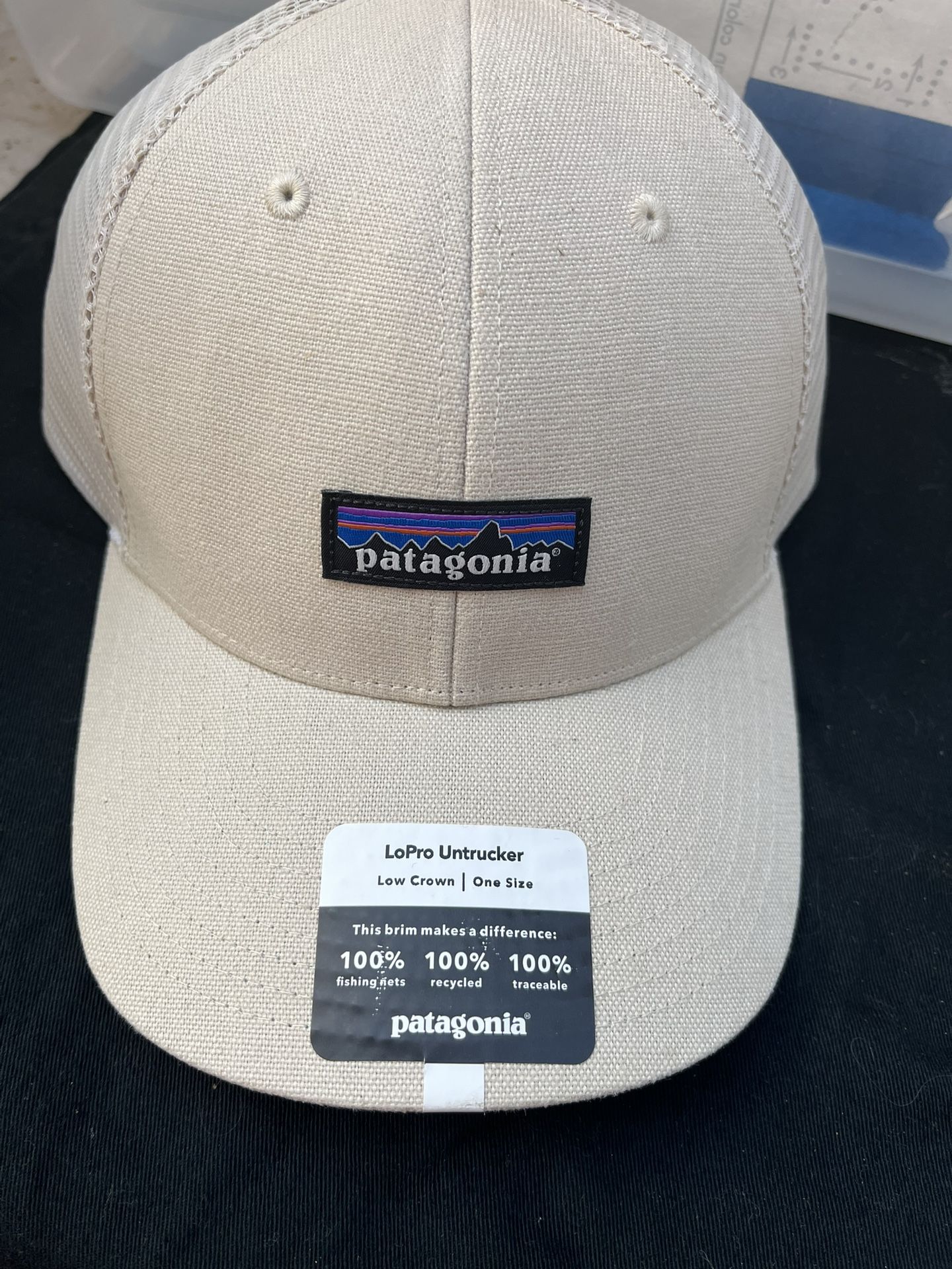 Patagonia Cap