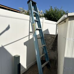 Werner Ladder