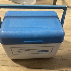 Small Cooler