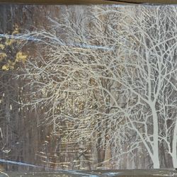 Landscape Tree Painting, 20x28 inches, Seasonal Wall Art for Autumn & Winter