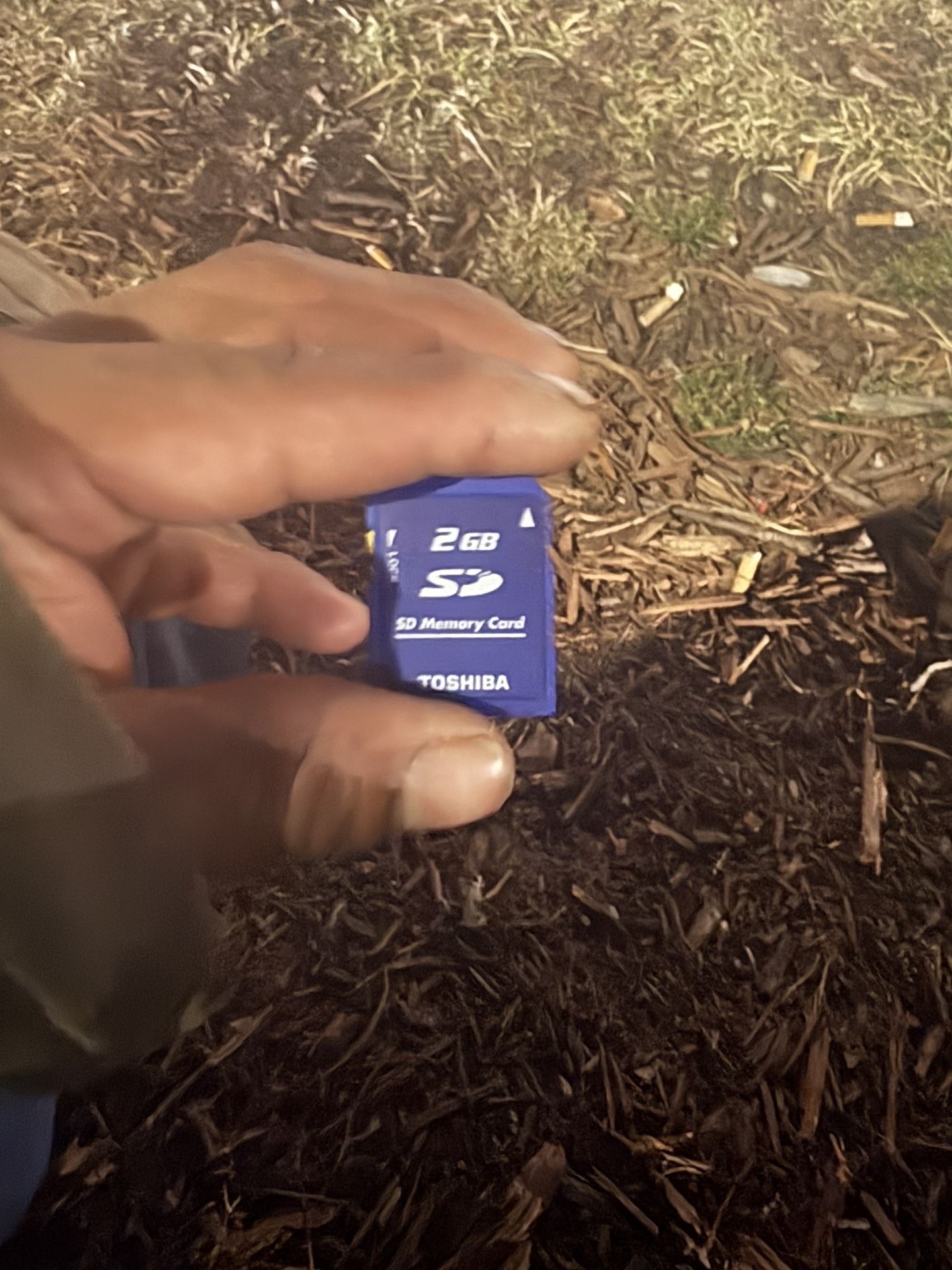 2gb sd card