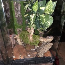 Zilla Gecko Reptile Tank Terrarium 