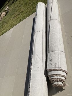 Shaggy Carpet Thick Hair Roll 