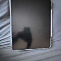 iPad Pro (12 - inch) (5th generation)