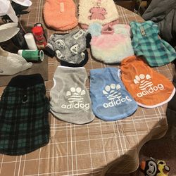 Set Of 9 Medium Dog Clothes. My Puppy Is Not A Clothes Wearer. 