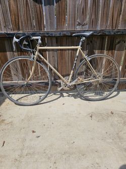 Fuji Bicycle
