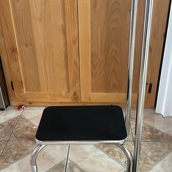 Step Stool With Handrail
