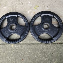Used 25lb Pair Of Rubber Coated Grip Plates Olympic Weight Plates 