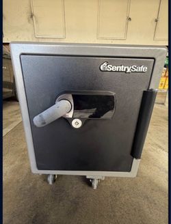 Sentary safe