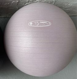 FitBALL USA Exercise Ball 55cm