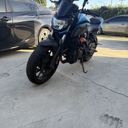 Mt 07 2019
