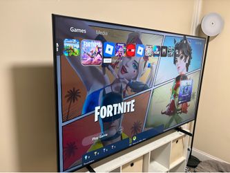 65”  Samsung TV