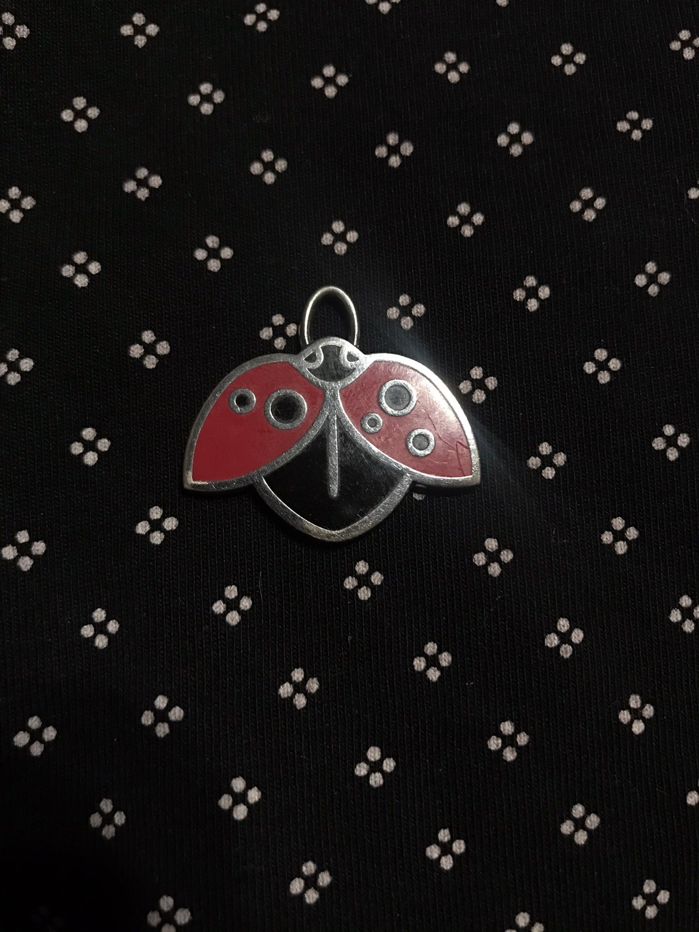 Coach Ladybug Charm