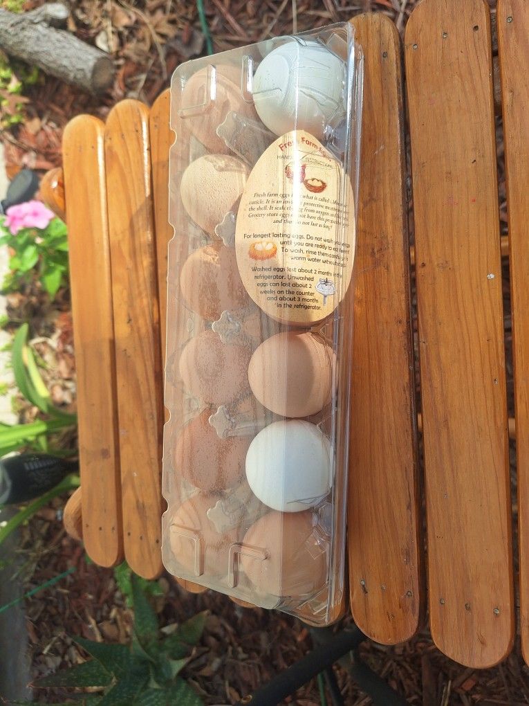 Fresh Eggs