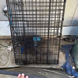 Dog Cage