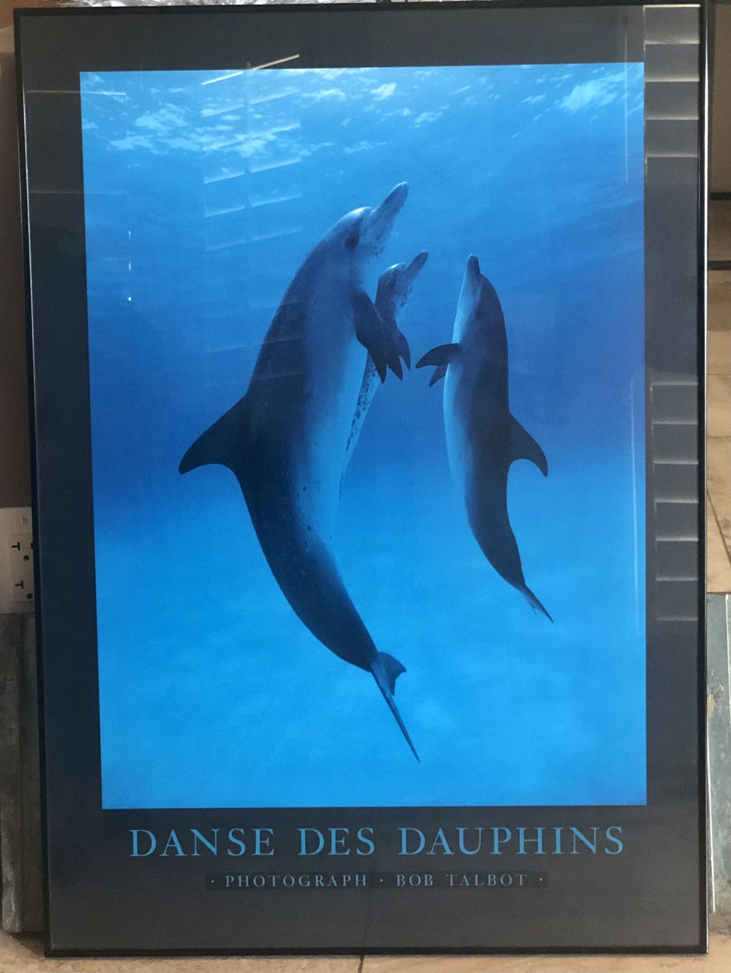 『Danse des Dauphins, 1989』 Bob Talbot Danse Des Dauphins, Photograph, Bob Talbot - Wall Art