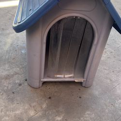 Dog Or Cat House